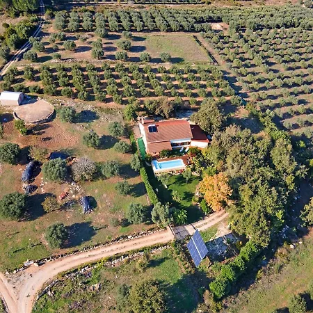 Tatil Evi Carcavelos With Pool *