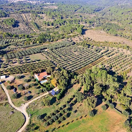 Tatil Evi Carcavelos With Pool Carcavelos (Coimbra)