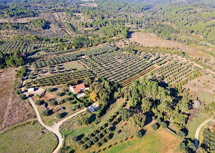 Casa vacanze Carcavelos With Pool Carcavelos (Coimbra)